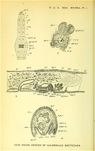 n551_w1150