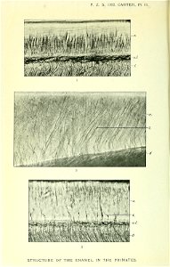 n173_w1150