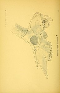 n375_w1150