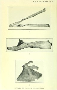 n127_w1150
