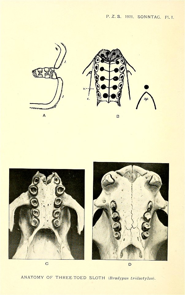 n193_w1150