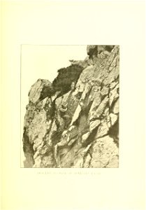 n390_w1150