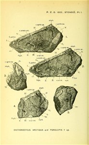 n873_w1150