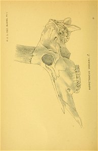 n371_w1150