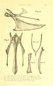 n218_w1150