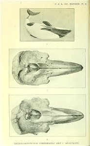 n223_w1150