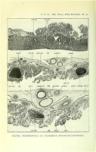 n773_w1150