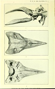 n121_w1150