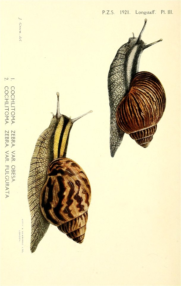 n441_w1150
