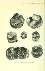 n201_w1150
