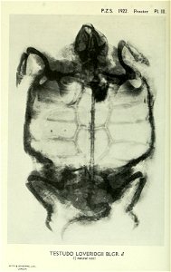 n45_w1150