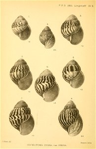 n439_w1150