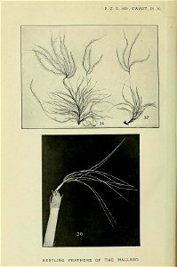 n219_w1150