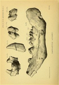n405_w1150