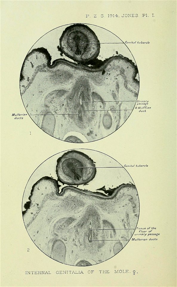 n251_w1150