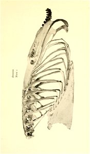 n398_w1150