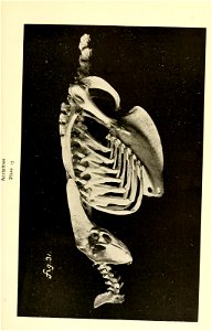 n198_w1150