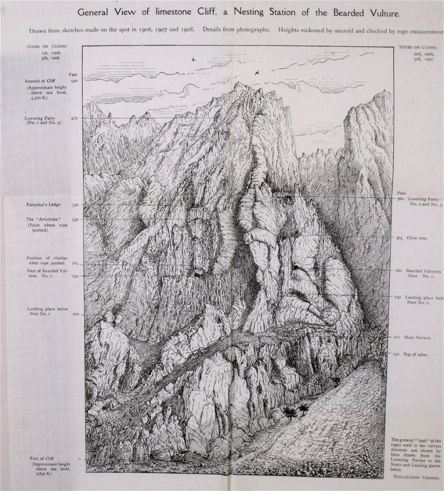 n552_w1150