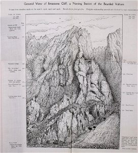 n552_w1150