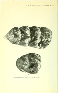 n199_w1150