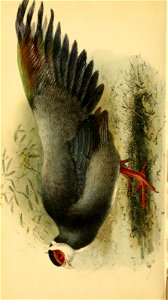 n453_w1150