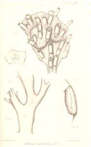 n254_w1150