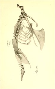 n278_w1150