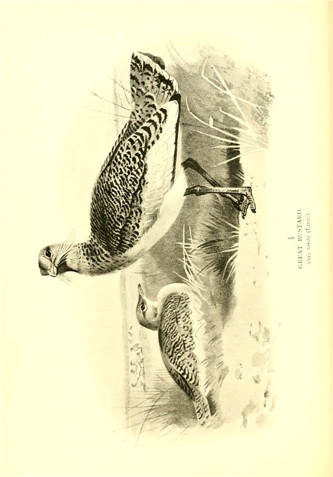 n171_w1150