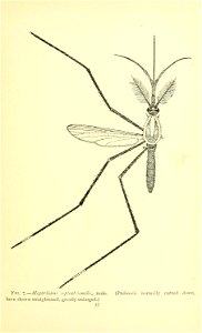 n74_w1150