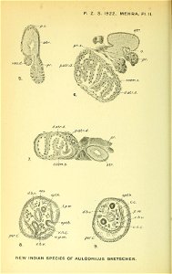 n553_w1150