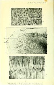 n175_w1150