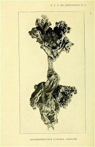 n63_w1150