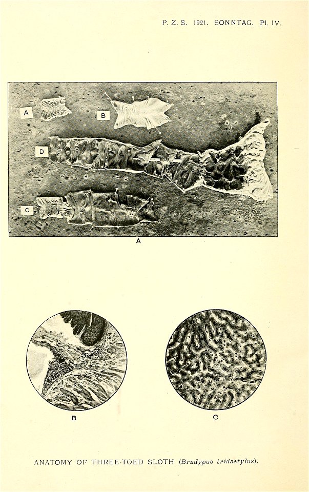 n199_w1150