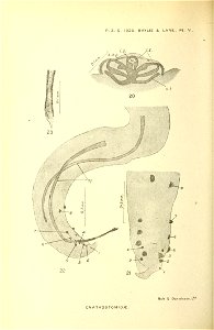 n301_w1150