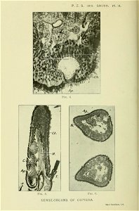 n79_w1150