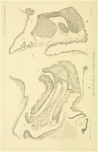 n35_w1150