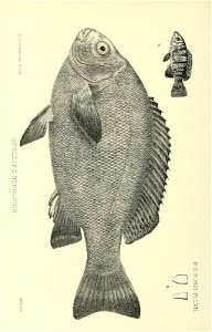 n101_w1150
