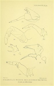 n408_w1150