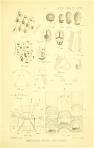 n218_w1150