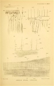 n396_w1150