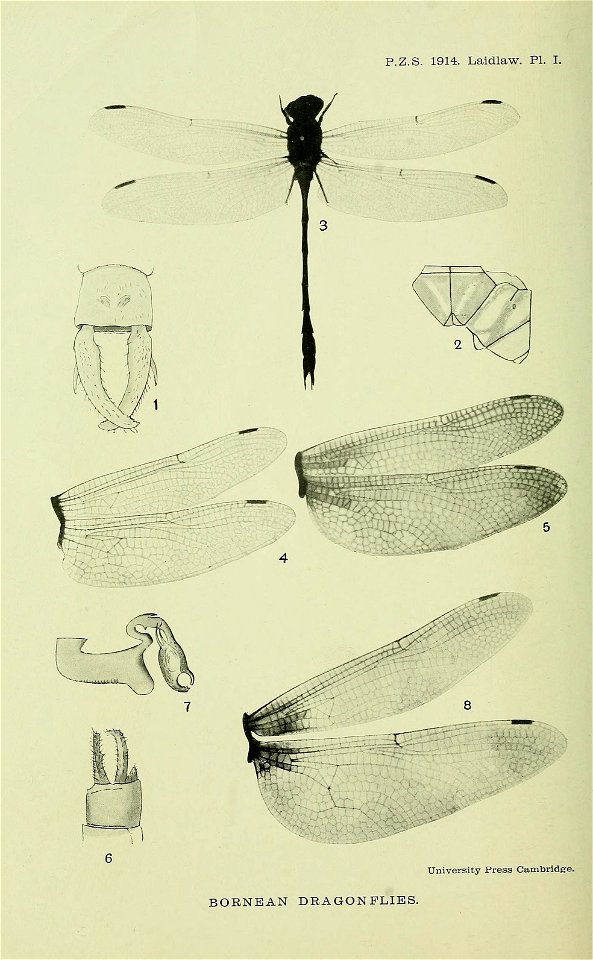 n89_w1150