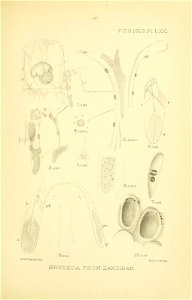 n216_w1150