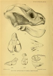 n475_w1150