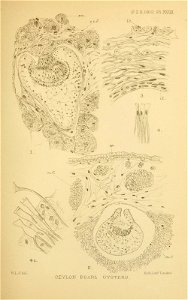 n394_w1150