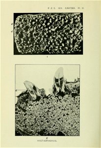 n423_w1150