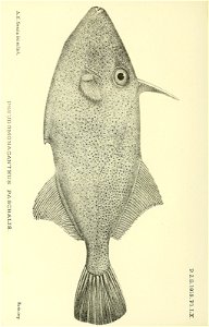 n95_w1150