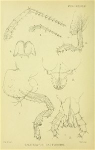 n163_w1150