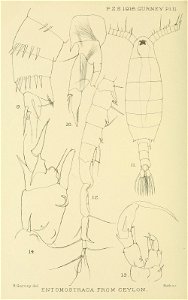 n419_w1150