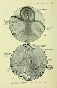 n255_w1150