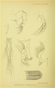 n369_w1150